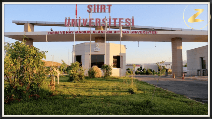 الدراسة في جامعة سيرت