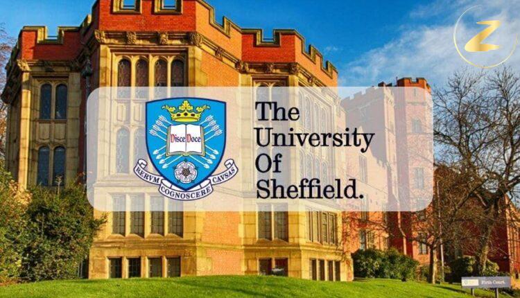 جامعة شيفيلد في بريطانيا